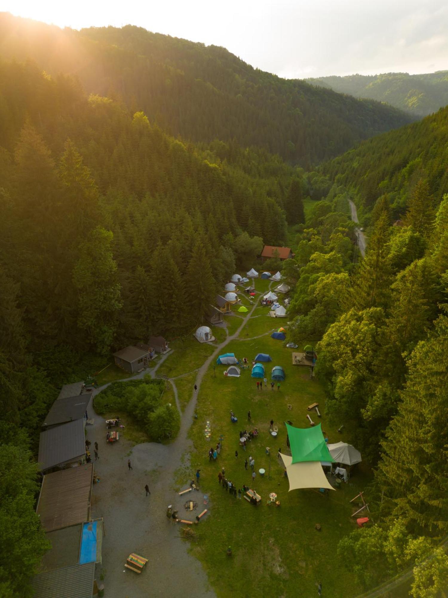 Fain Lunca Bradului